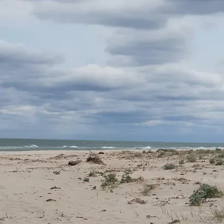 Vila Vama Veche * ואמה וקה