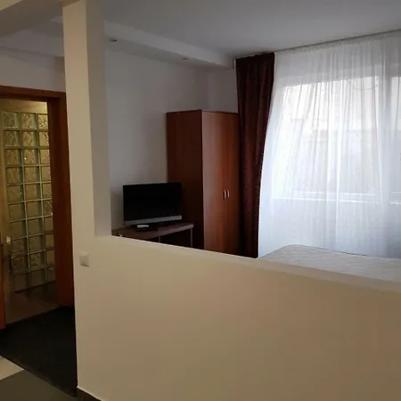 Vila Vama Veche וילה