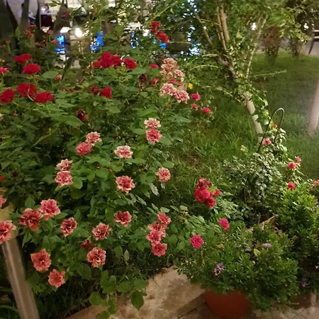 Vila Vama Veche וילה ואמה וקה