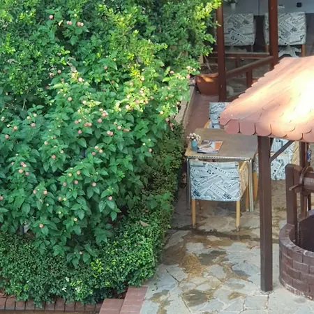 וילה Vila Vama Veche *