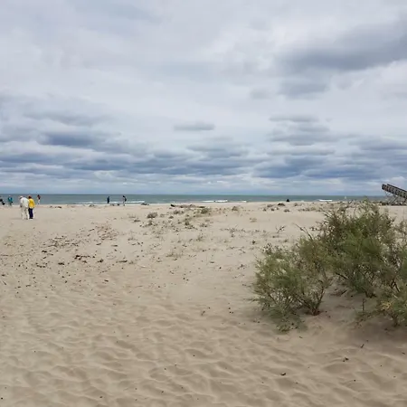 Vila Vama Veche * ואמה וקה