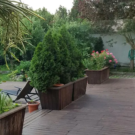 Vila Vama Veche *